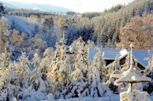 Sunrise House Hotel Inverfarigaig Екстериор снимка